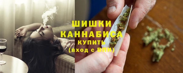 гашик Гусев